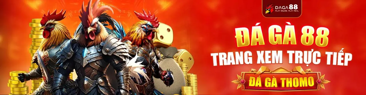 Hình ảnh tổng quan về thomo688, nền tảng cá cược hàng đầu