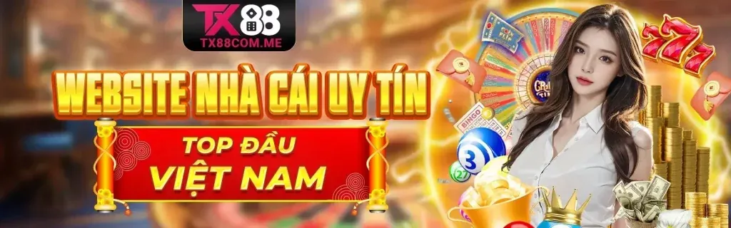 Thomo688 phân tích dữ liệu sử dụng website