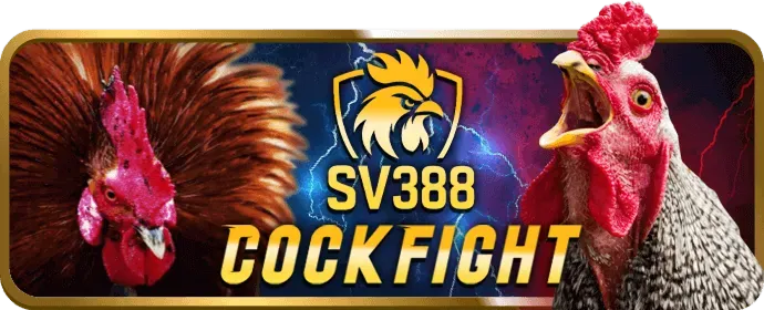 Bàn Baccarat tại thomo688